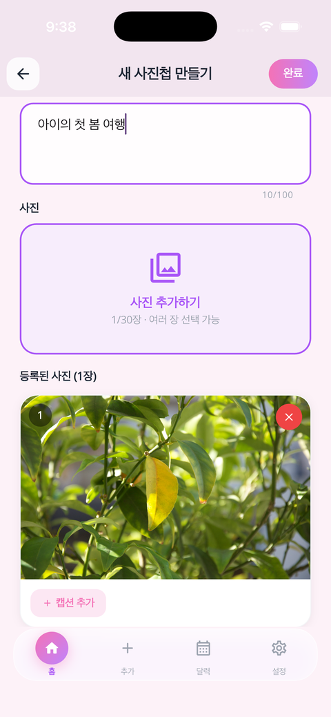 사진첩 만들기 — 정보 입력